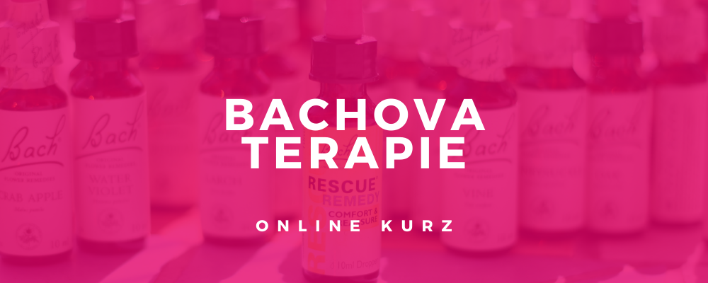 Bachova terapie